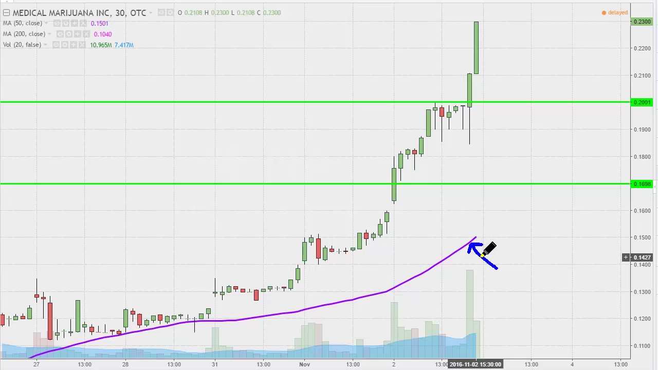 Medical Marijuana Stock Chart