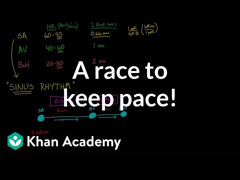 A race to keep pace! | Circulatory system physiology | NCLEX-RN | Khan Academy