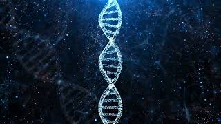 Clay Tablets to Quantum Codes: The Divine Algorithm of Creation