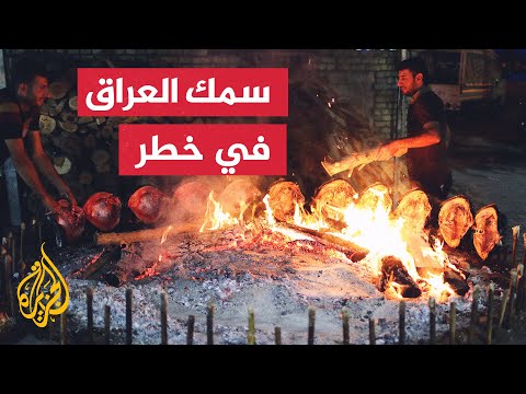 العراق.. تراجع الإنتاج في الثروة السمكية بسبب انخفاض مستوى المياه في الأنهار