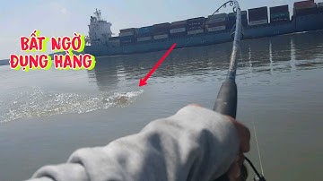 Mong Muốn Nhỏ Nào Ngờ Quá Trớn Một Ổ Cá To Luôn || Điểm Cá Còn Nhiều