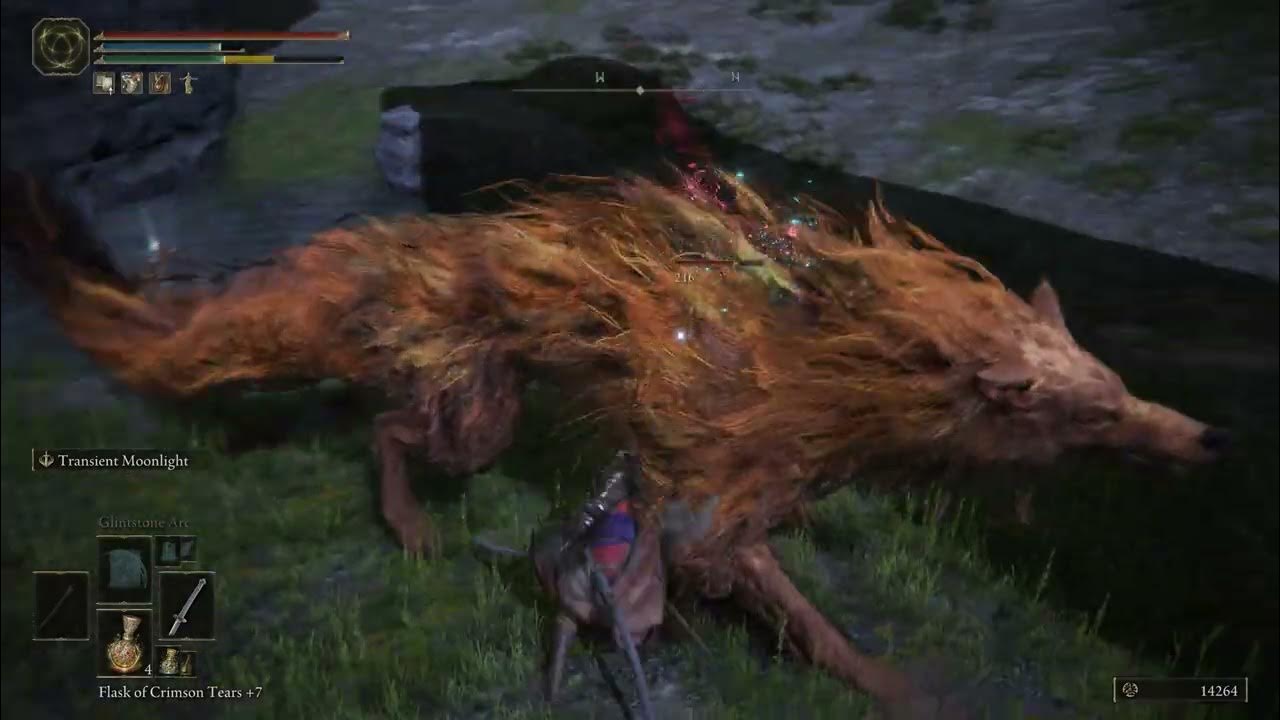 Elden Ring: Lesser Red Wolf of Radagon (Nokron) - YouTube