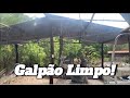 Galpão renovado: limpeza feita e madeiras velhas sendo substituídas