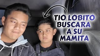 5  COSAS QUE NO SABIAS DE NOSOTROS / Tio Lobito (Buscara a su mama)