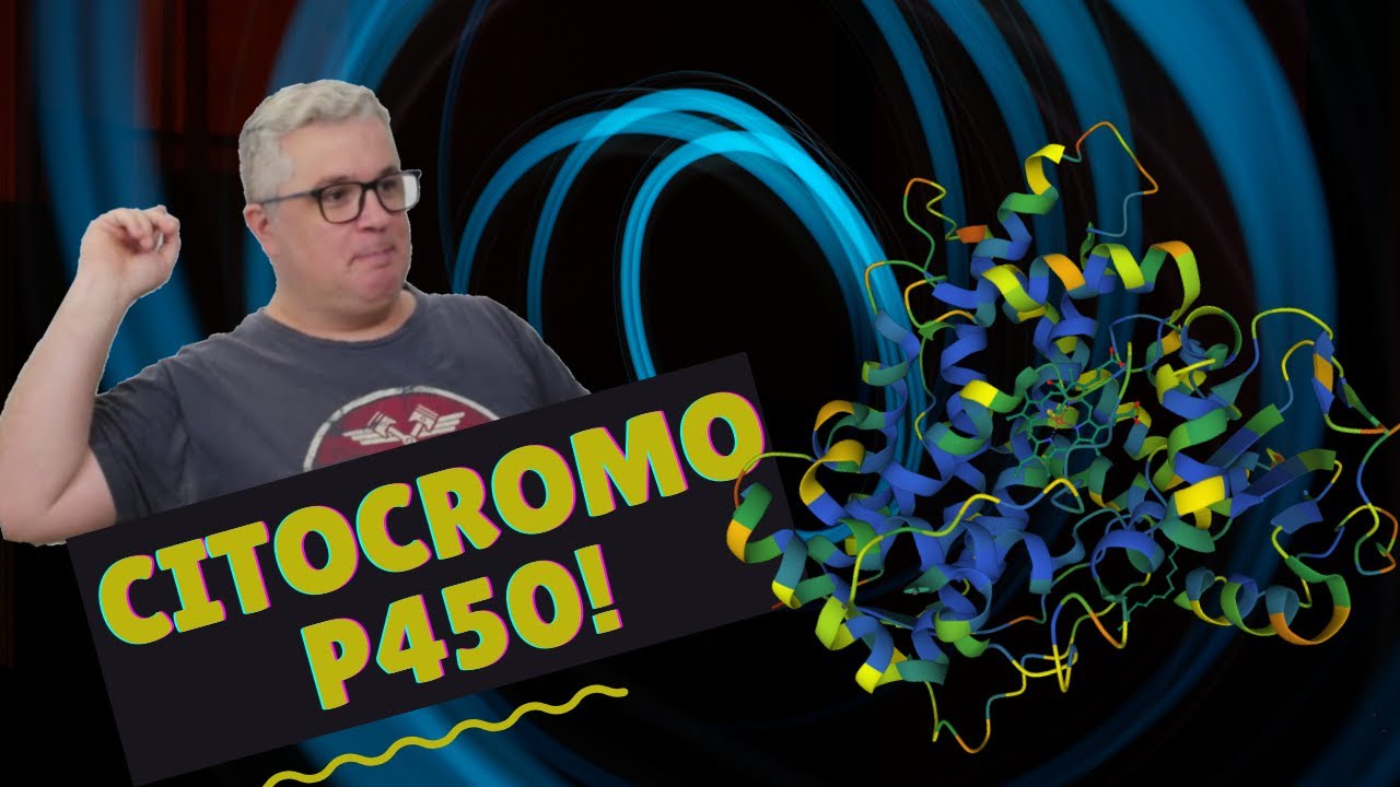 Citocromo P450 - Curso de Farmácia - Toxicologia - Prof. Mauricio