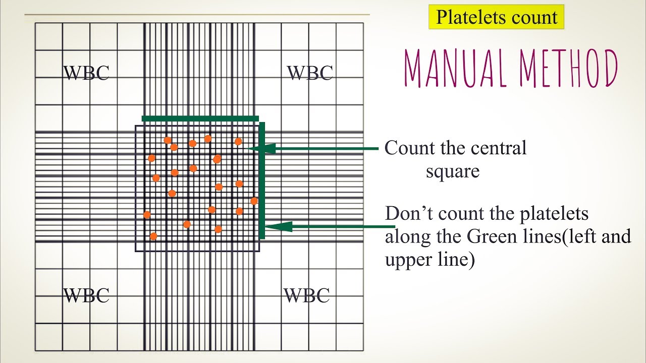 Platelet count Manual method. An easy way to understand in Hindi and