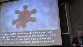 Stem cell-grown organoids as models for human disease