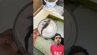 Girl Revives Dead Fish#shortsvideo#shorts