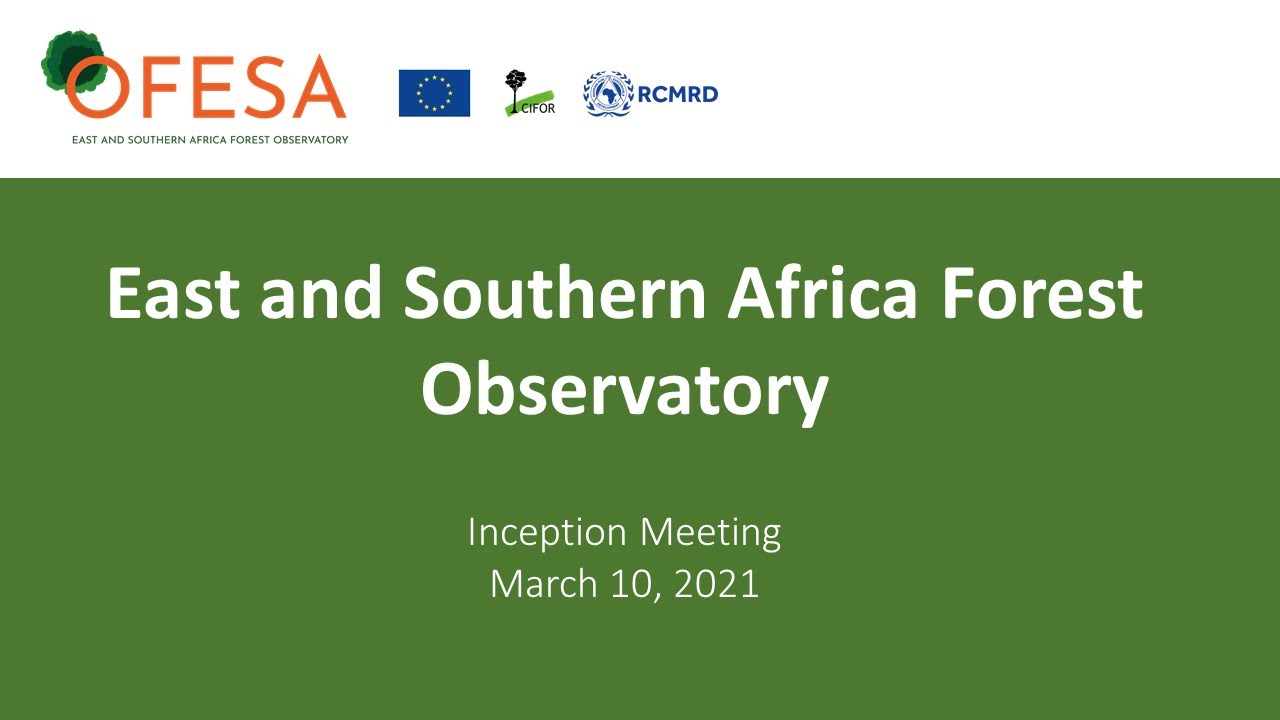 Thumbnail of East and Southern Africa Forest Observatory (OFESA) inception meeting