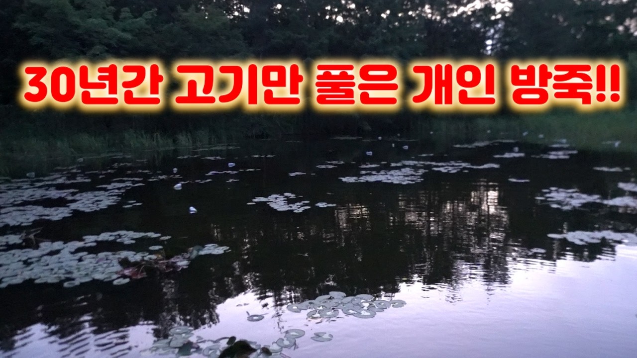 30년묵은 장어가 사는 방죽 전체에 페트병 낚시를 깔아보자 !!