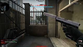 CS:GO USP-S PRINTSTREAM WELL-WORN | SKIN SHOWCASE