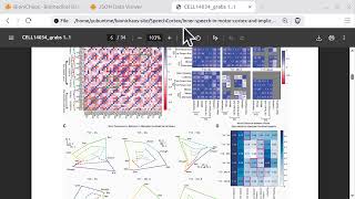 Decoding Inner Speech: Building a BCI Data Viewer with an AI Assistant