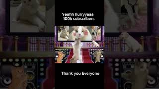 Happihappihappi yeahh 100k subscribers #cat #catmemes #happycats #happyhappyhappy #meme #spydezz