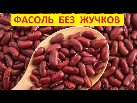 Чтобы в фасоли не заводились жучки - все очень просто