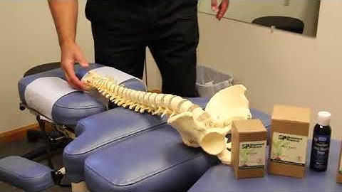 ADD ADHD Autism Treatment -  Ames Chiropractic Wellness Center   Bangor, Corinna, Lincoln Maine