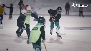 Vinterns Härliga Aktiviteter