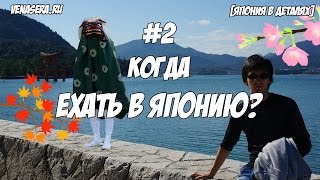 КОГДА ЛУЧШЕ ЕХАТЬ В ЯПОНИЮ. Времена Года В Японии. [#2]