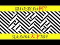 【ゆっくり解説】これ見える?天才だけが分かる診断クイズ!