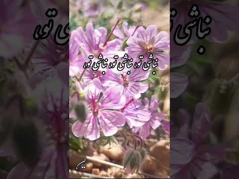 خلاصه ترانه مگه میشه نباشی و دیونه نشم بدون تو از احسان وزیری وزیری احسان عشق