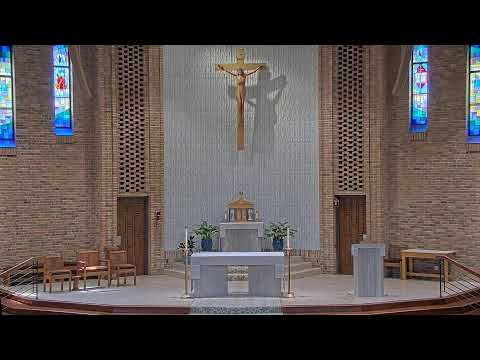 Sunday Mass - 11 AM - 07/20/2025