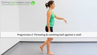 Standing Balance Exercise Tutorial (Level 4) - ONLINE PHYSIO EXERCISES