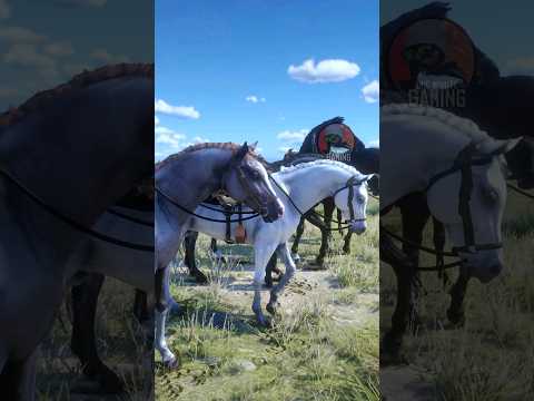 RDR2 : How