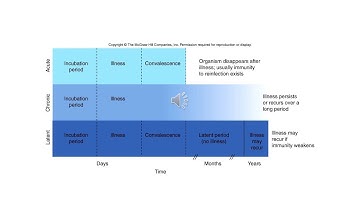 Host Microbe Interaction-1