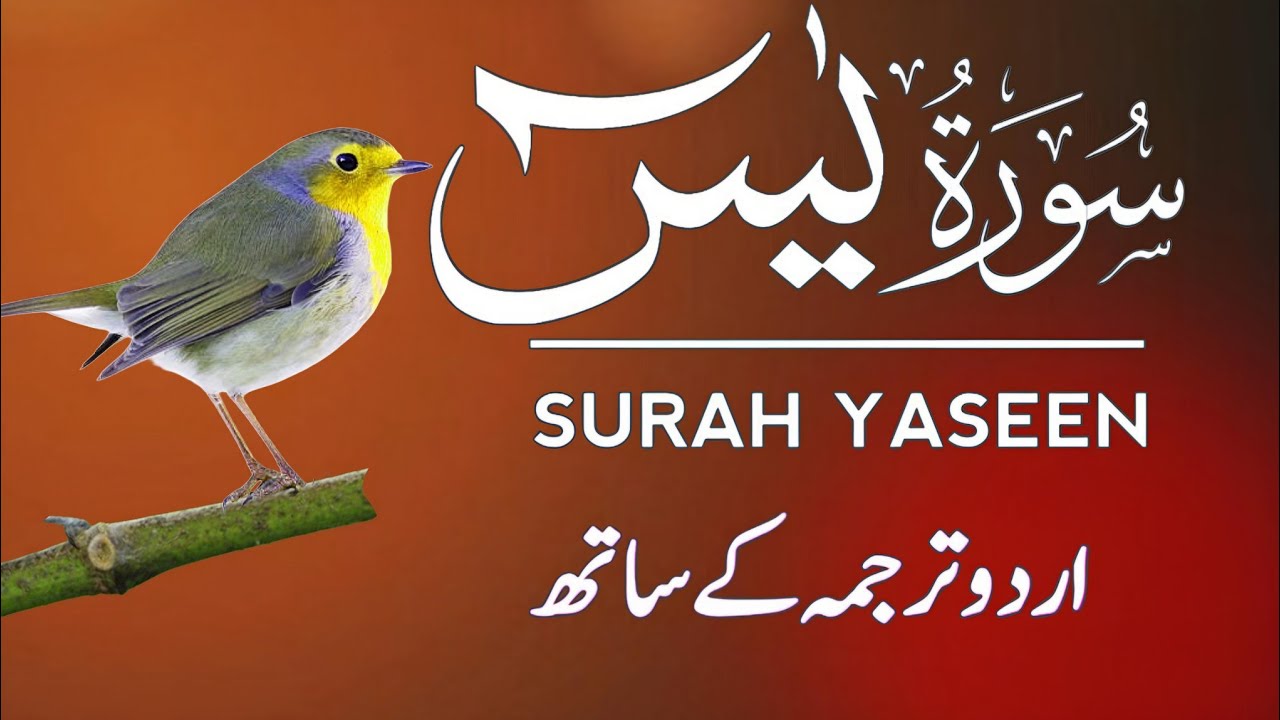 Surah  Yasin (Yaseen) | Surah Yaseen With Urdu Translation | Episode - 718