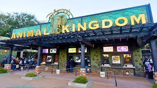 Dinosaur FINAL Day & Ice on the Tree of Life - Disney’s Animal Kingdom: Freezing Day Tour | 4K 60FPS
