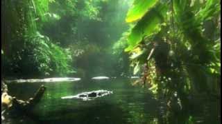 Da'Ville - Work a man (Body A Shake Riddim 2008)