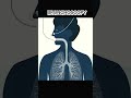 bronchoscopy or lungs biopsy: #LungBiopsy #Bronchoscopy