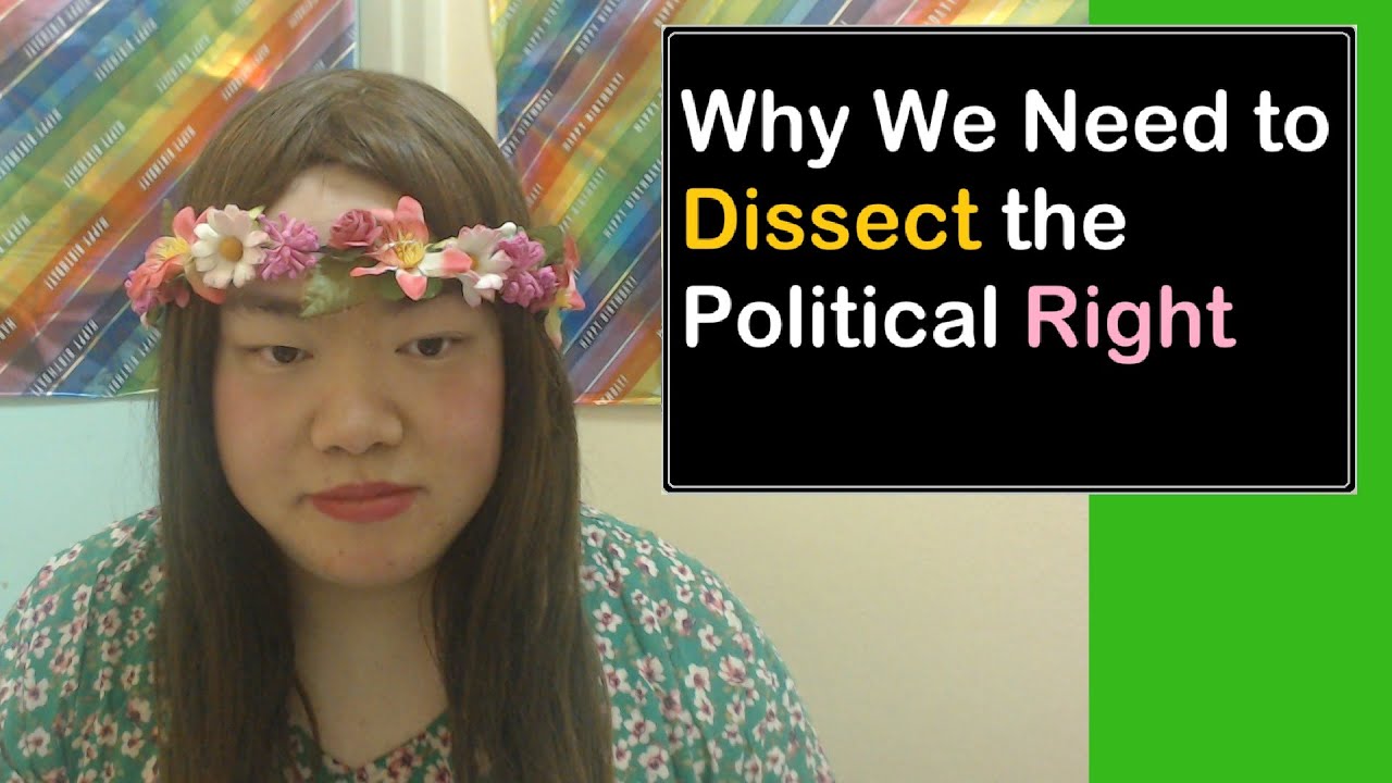 Why We Need to Dissect the Political Right | TaraElla Clips