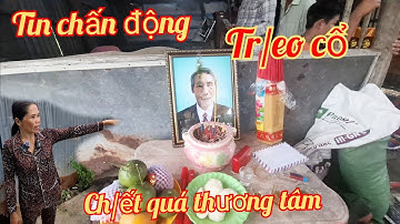 Tin chấ/n động t/reo c/ổ ch/ết quá thương tâm đầm dơi cà mau 