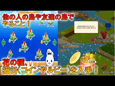 【星の島のにゃんこ】他のプレイヤーの島に行ってやる事!【ほしの島のにゃんこ】