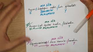 Ara Söz Ve Cümle Dişi Unsurlar