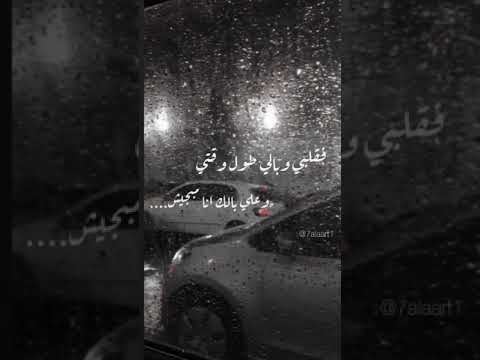 حالات واتس تامر عاشور أنا اتمنيت اكون جمبك و قدرتك 