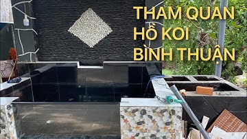 THAM QUAN HỒ KOI BÌNH THUẬN || CÁ KOI VLOG TRẦN ĐỨC CƯỜNG