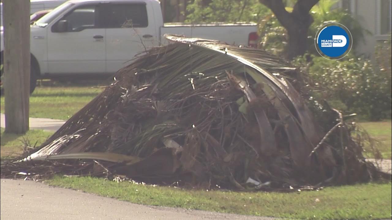 311 Direct App Bulky Waste Pickup YouTube