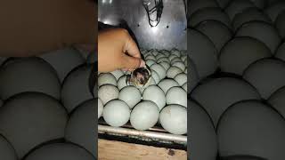 Penetasan telur bebek, Menggunakan mesin