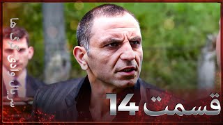 سریال وادی گرگ ها | 14. قسمت را تماشا کنید (Farsi Dubbed)