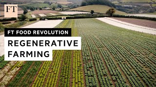 Riverford: UK business needs longterm policies and stability | FT Food Revolution