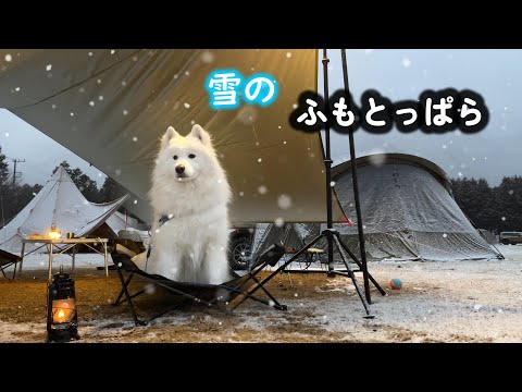 サモエドと雪の中でキャンプ。暖かい笑顔を見せてくれるムンしゃんが最高にかわいい~ふもとっぱらキャンプ場~