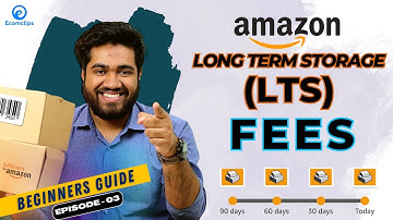 Amazon Long-Term Storage Fees (LTSF) | Reduce Old-Age FBA Inventory FEE | Beginner