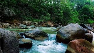 Tranquil River Sounds for Meditation and Focus – 12H Flow