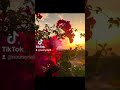 حالات واتس حب ورومنسية إلا إنت نجاة الصغيرة 