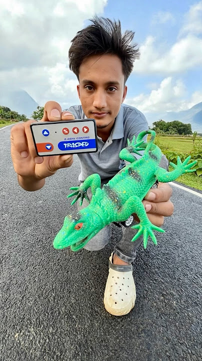 Remote Control Chameleon Ki testing