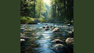 Stream Calm Binaural Echo