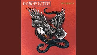 Video thumbnail of "The Why Store - Do Do Do"