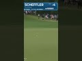 How did Scottie Scheffler make par from here?! 😳#shorts