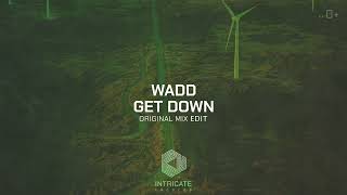 Wadd - Get Down Intricate Records